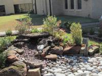 New water garden